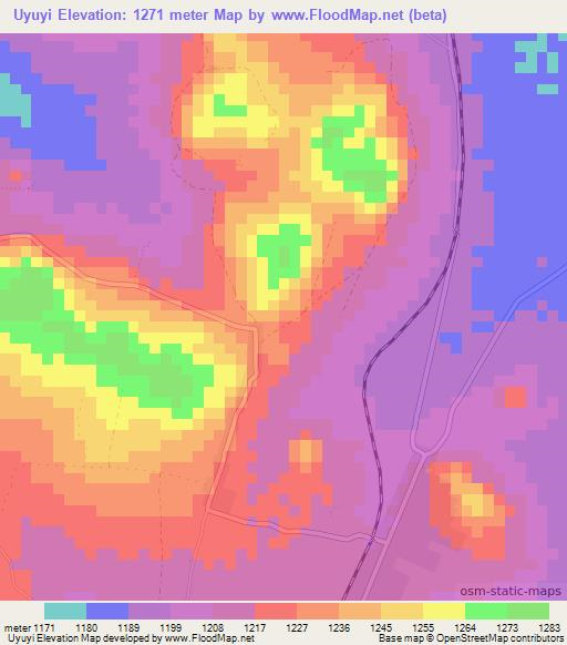 Uyuyi,Tanzania Elevation Map