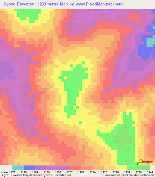 Uyovu,Tanzania Elevation Map