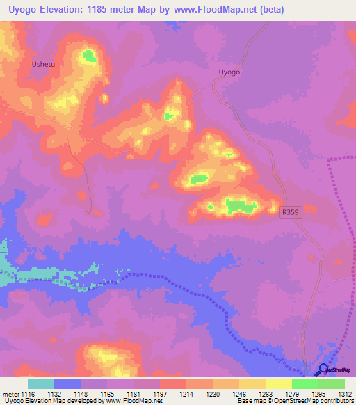 Uyogo,Tanzania Elevation Map