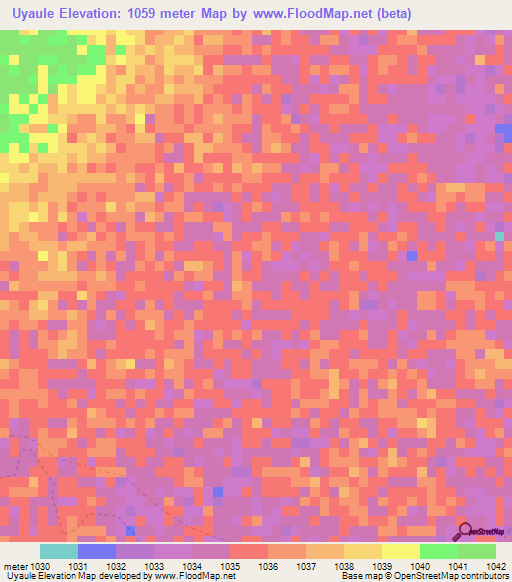 Uyaule,Tanzania Elevation Map