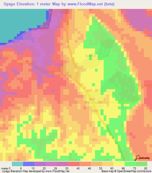 Uyagu,Tanzania Elevation Map