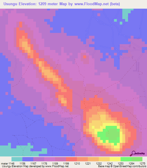 Usungu,Tanzania Elevation Map