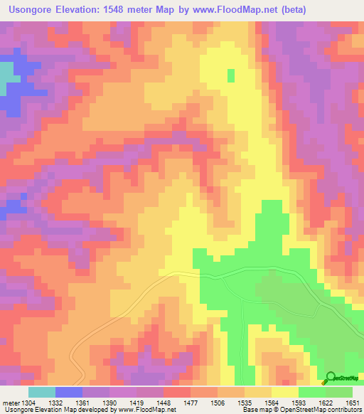 Usongore,Tanzania Elevation Map