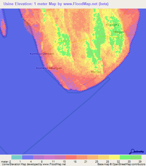 Usine,Tanzania Elevation Map