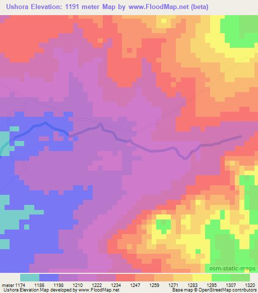 Ushora,Tanzania Elevation Map