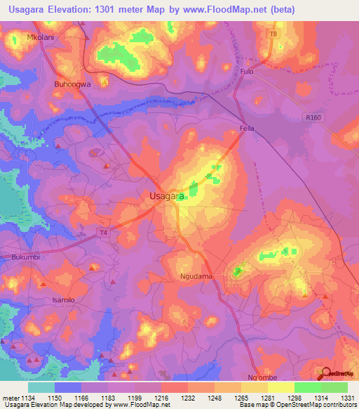 Usagara,Tanzania Elevation Map