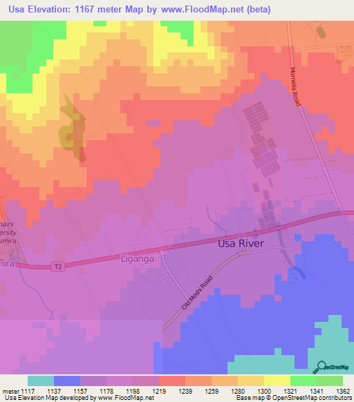 Usa,Tanzania Elevation Map