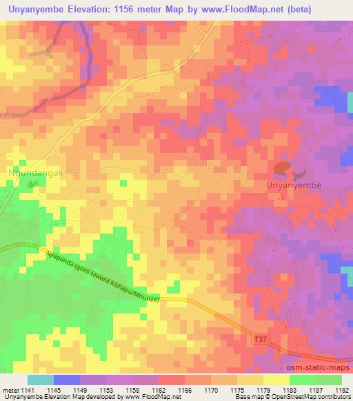 Unyanyembe,Tanzania Elevation Map
