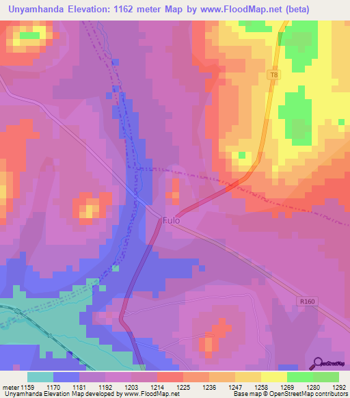 Unyamhanda,Tanzania Elevation Map