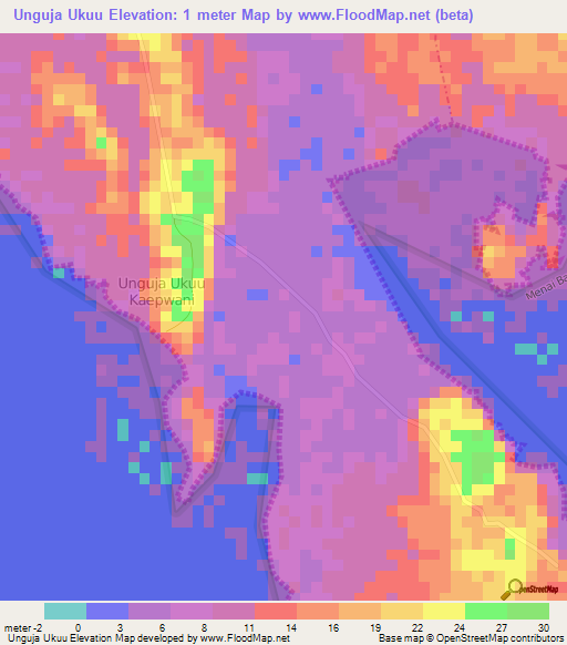 Unguja Ukuu,Tanzania Elevation Map