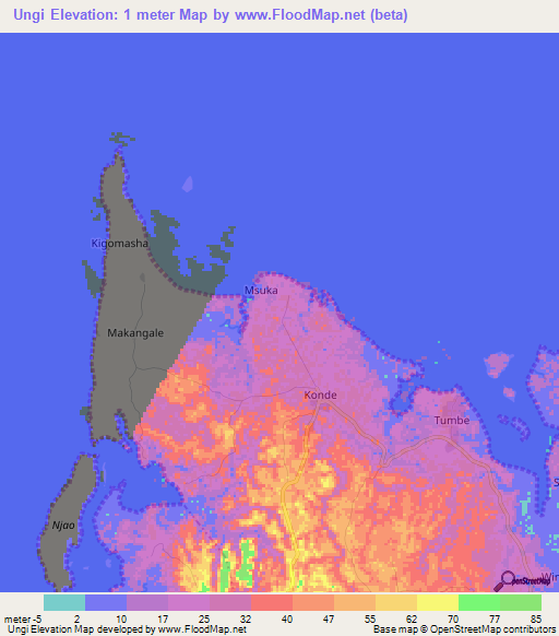 Ungi,Tanzania Elevation Map