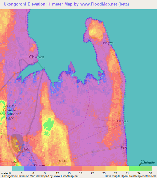 Ukongoroni,Tanzania Elevation Map