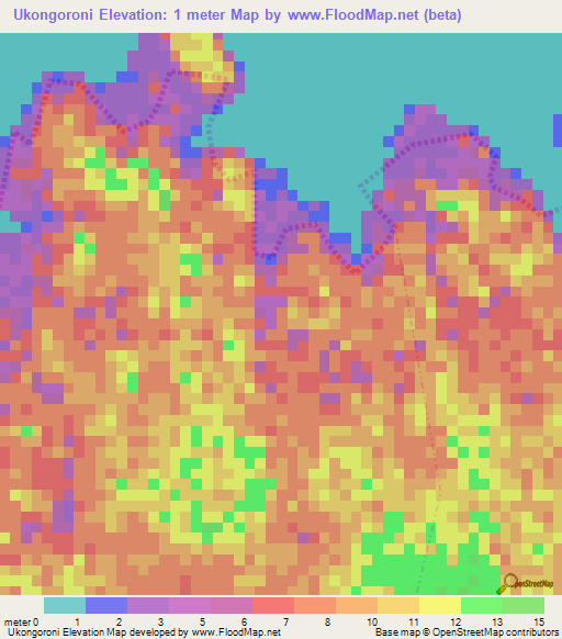 Ukongoroni,Tanzania Elevation Map