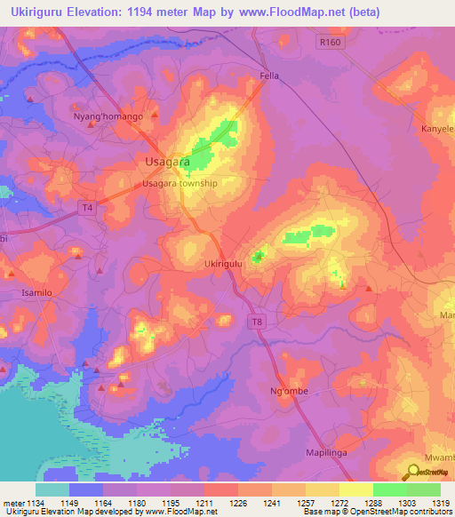 Ukiriguru,Tanzania Elevation Map