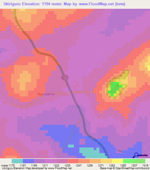 Ukiriguru,Tanzania Elevation Map