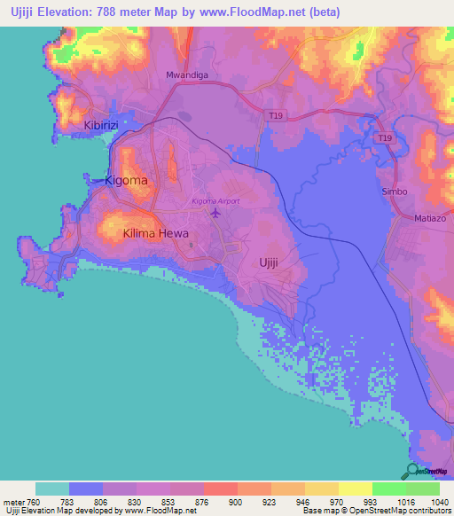 Ujiji,Tanzania Elevation Map