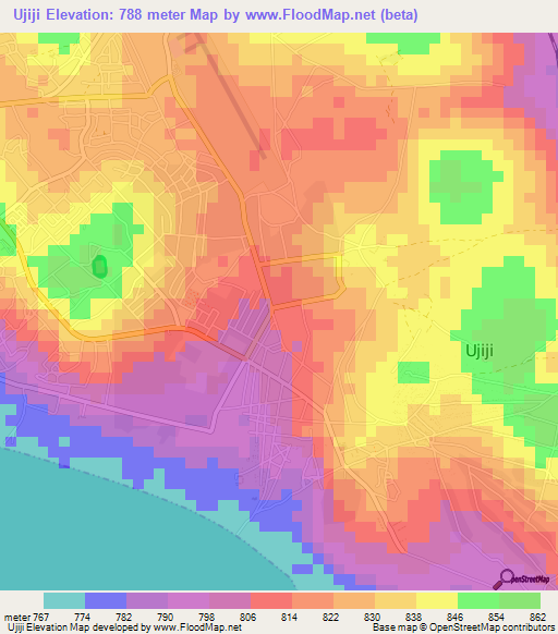 Ujiji,Tanzania Elevation Map