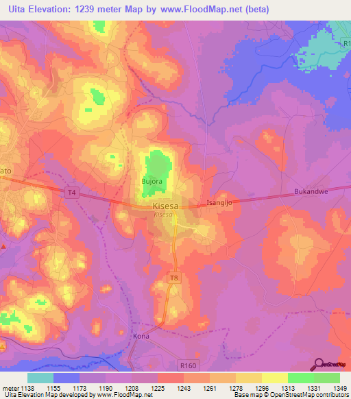 Uita,Tanzania Elevation Map