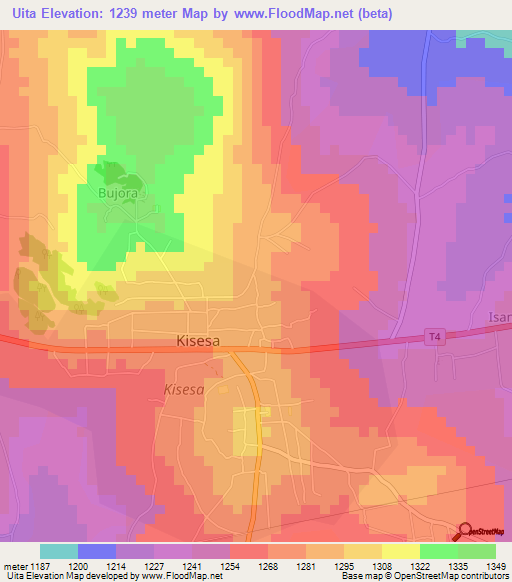 Uita,Tanzania Elevation Map