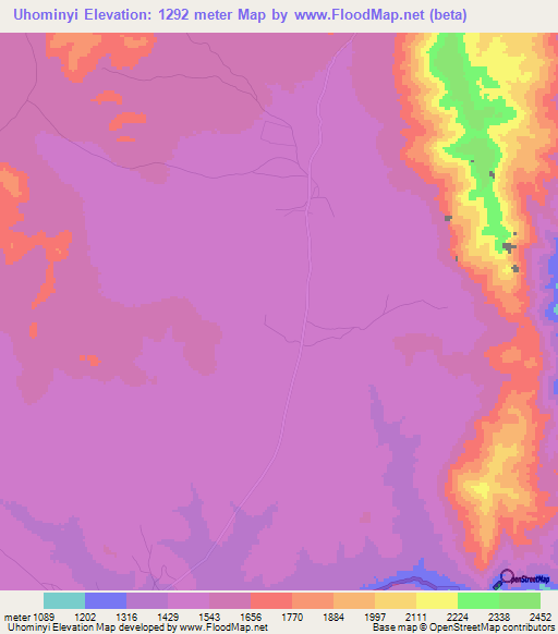 Uhominyi,Tanzania Elevation Map