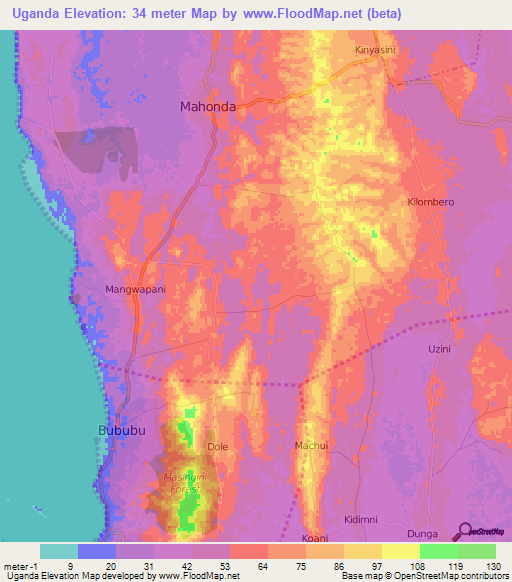 Uganda,Tanzania Elevation Map