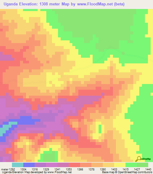 Uganda,Tanzania Elevation Map