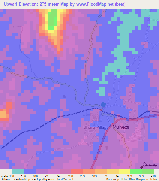 Ubwari,Tanzania Elevation Map