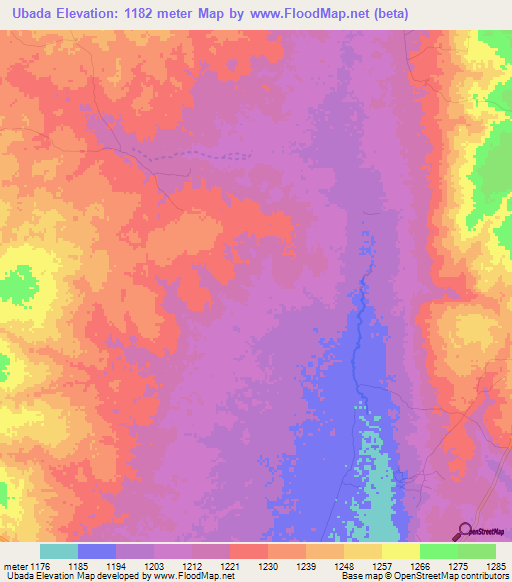 Ubada,Tanzania Elevation Map