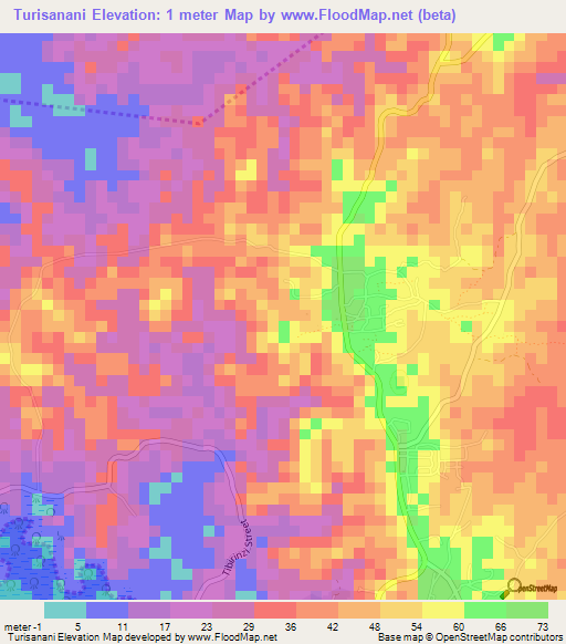 Turisanani,Tanzania Elevation Map