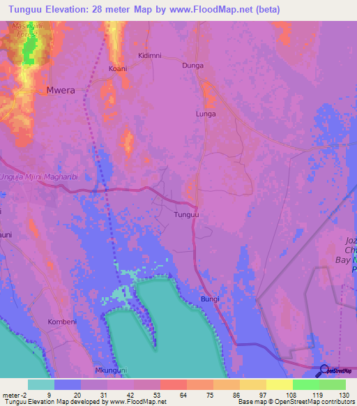 Tunguu,Tanzania Elevation Map