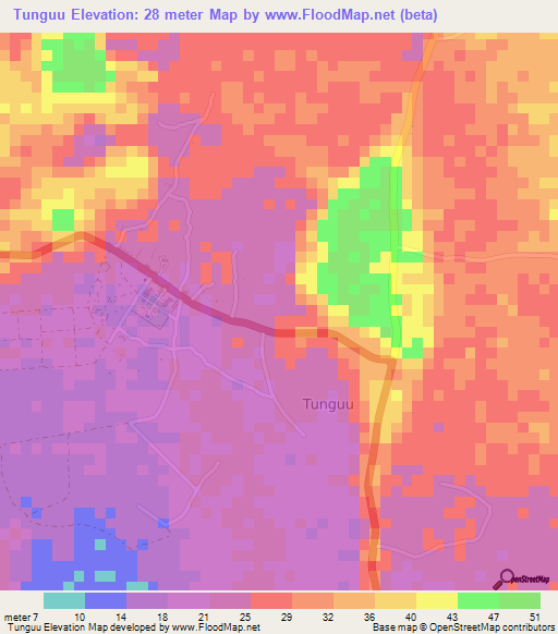 Tunguu,Tanzania Elevation Map