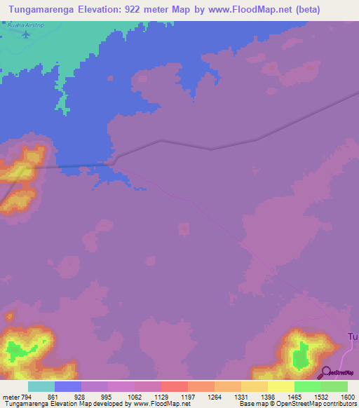 Tungamarenga,Tanzania Elevation Map