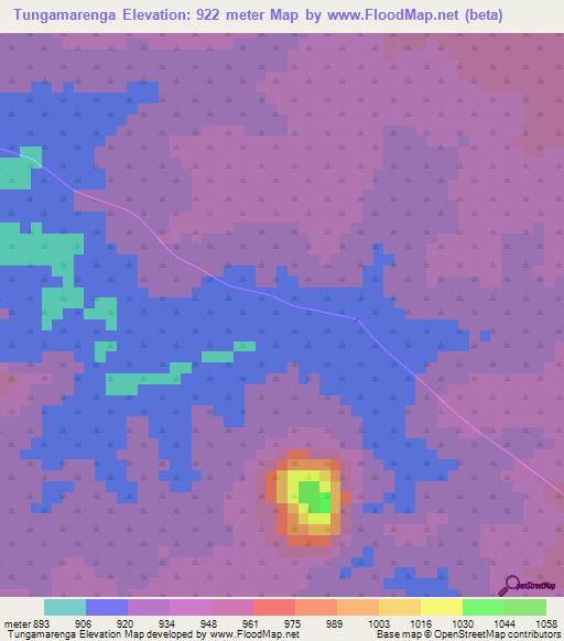 Tungamarenga,Tanzania Elevation Map