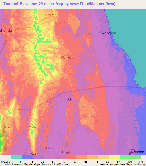 Tunduni,Tanzania Elevation Map