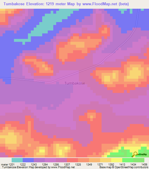 Tumbakose,Tanzania Elevation Map