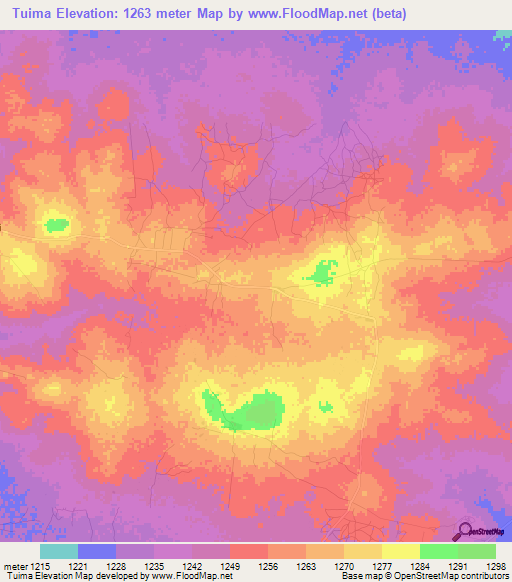 Tuima,Tanzania Elevation Map