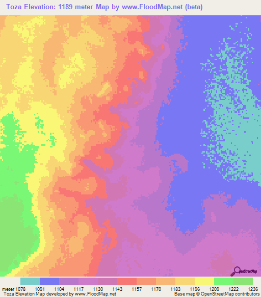 Toza,Tanzania Elevation Map