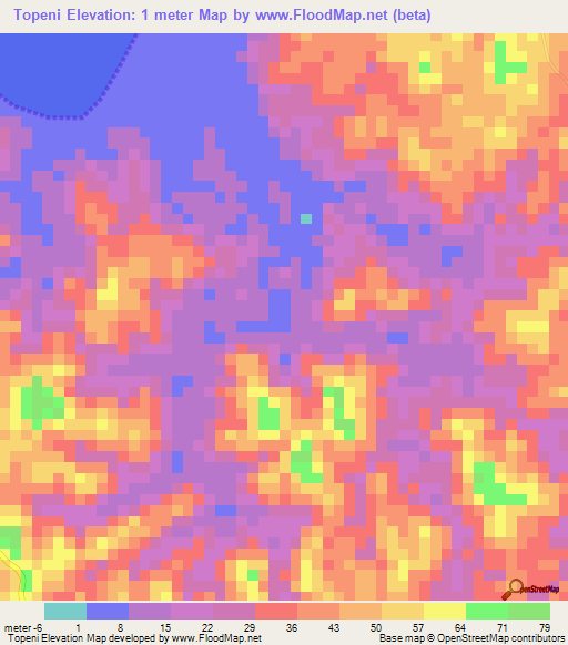 Topeni,Tanzania Elevation Map