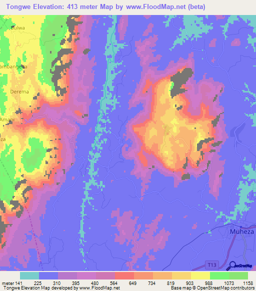 Tongwe,Tanzania Elevation Map