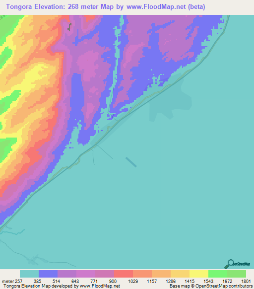 Tongora,Tanzania Elevation Map