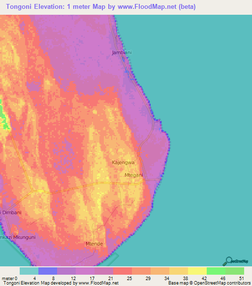 Tongoni,Tanzania Elevation Map