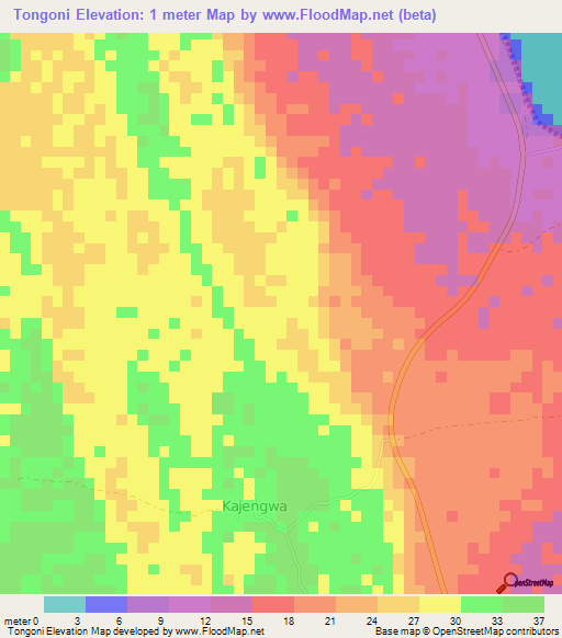 Tongoni,Tanzania Elevation Map