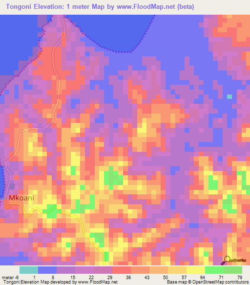 Tongoni,Tanzania Elevation Map