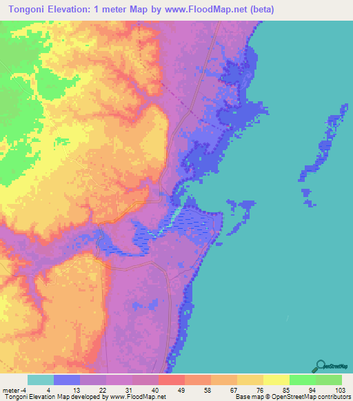 Tongoni,Tanzania Elevation Map