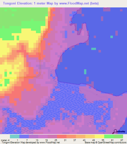 Tongoni,Tanzania Elevation Map