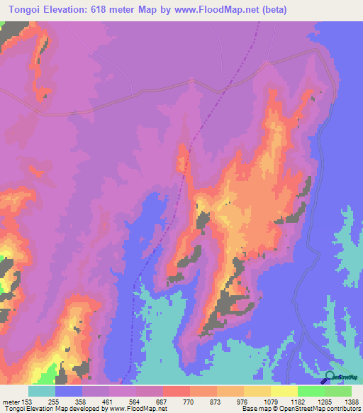 Tongoi,Tanzania Elevation Map