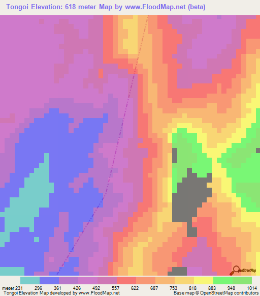 Tongoi,Tanzania Elevation Map