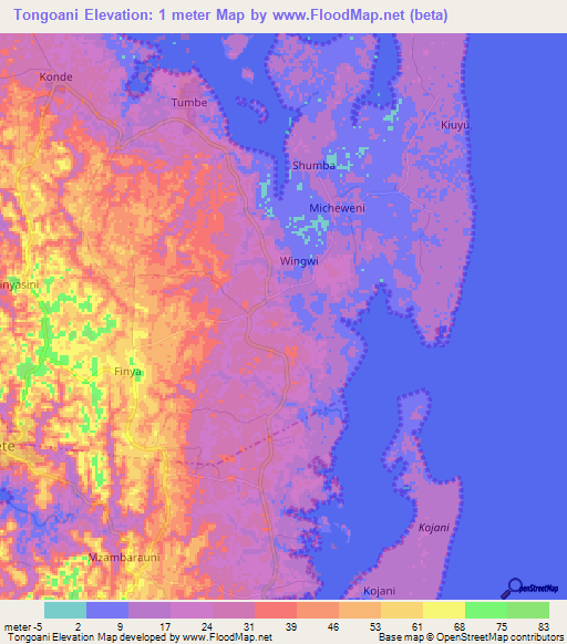 Tongoani,Tanzania Elevation Map