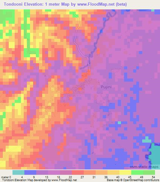 Tondooni,Tanzania Elevation Map