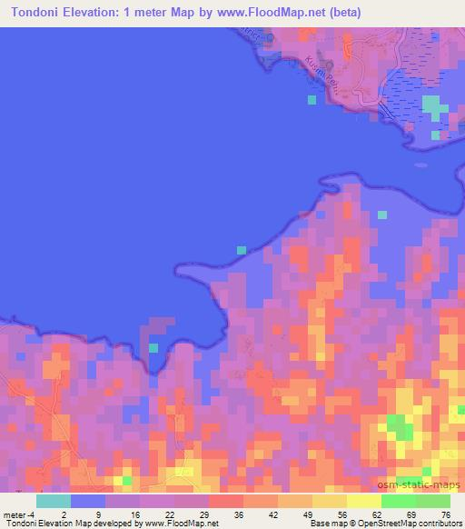 Tondoni,Tanzania Elevation Map